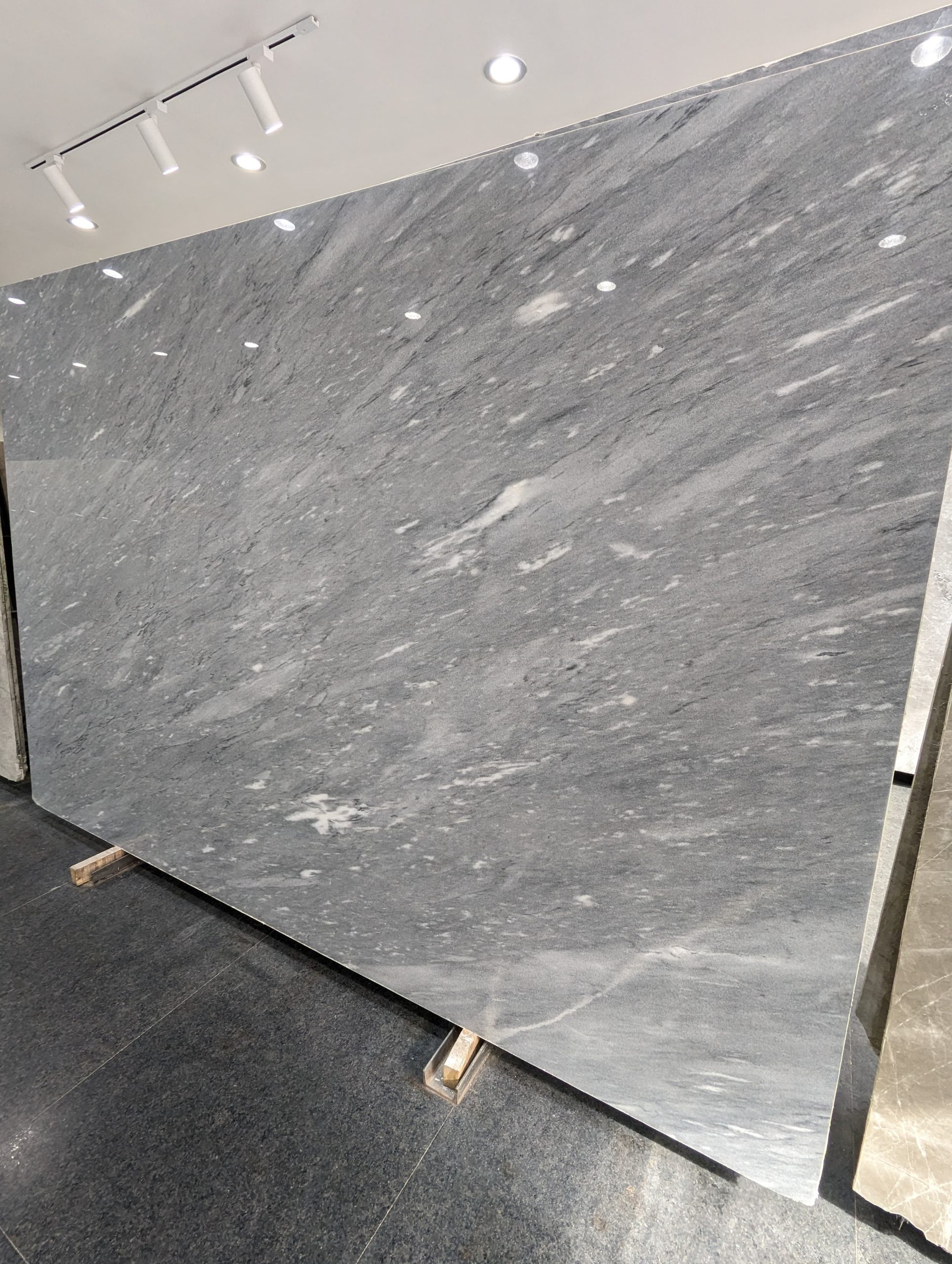 platina-grey1