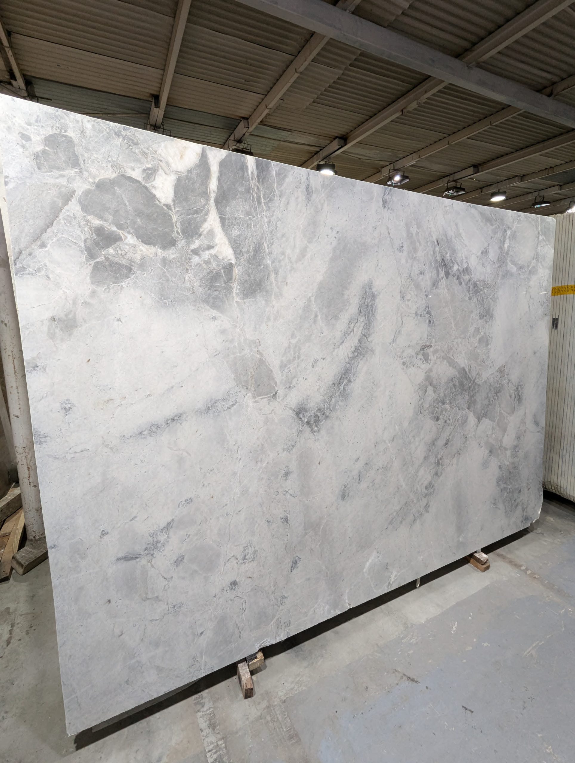 snow-leopard-dark-grey1